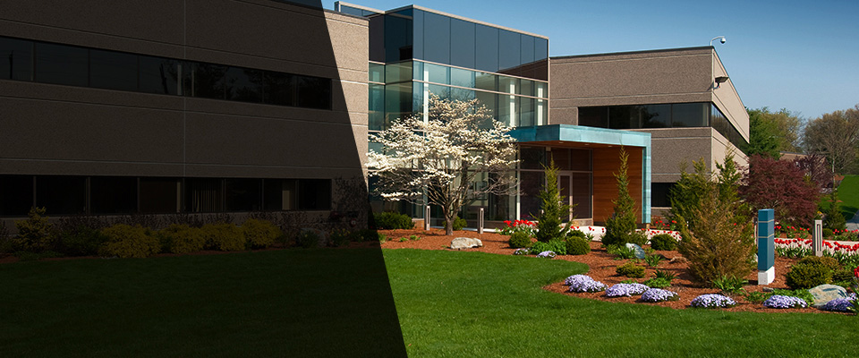 Saint Clair Landscapers