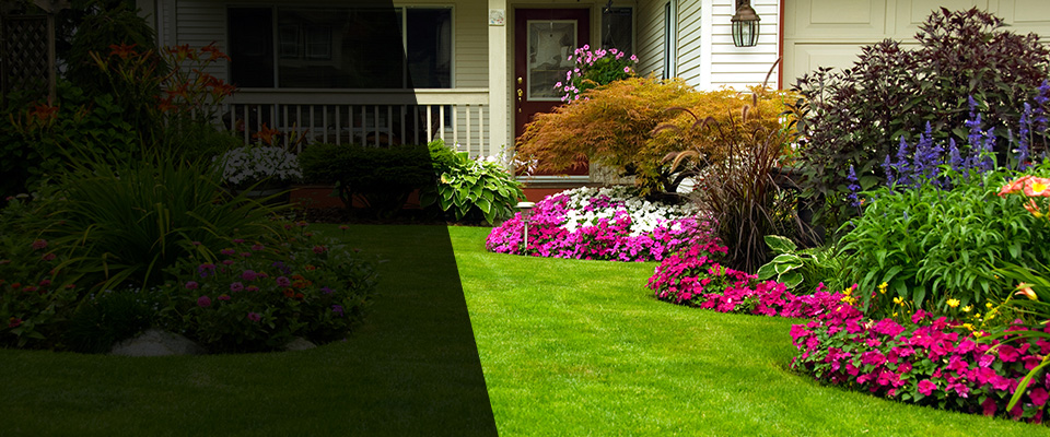 Saint Clair Landscapers