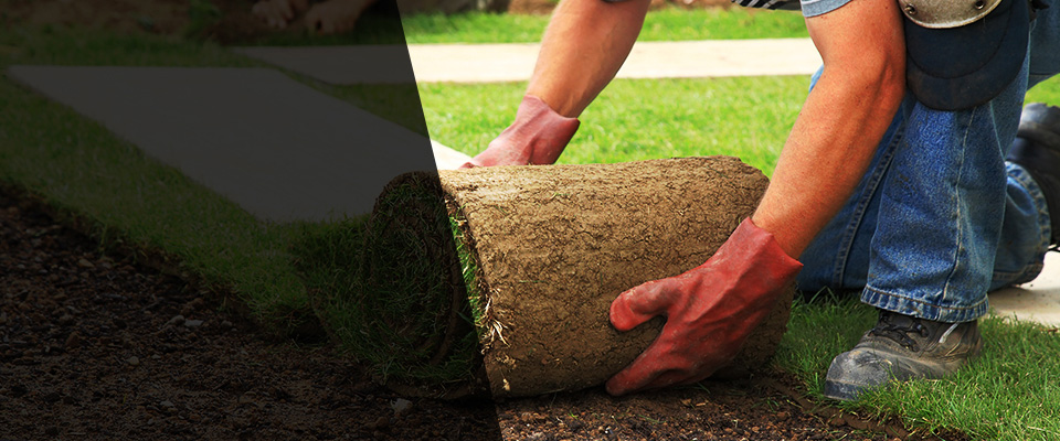 Saint Clair Landscapers
